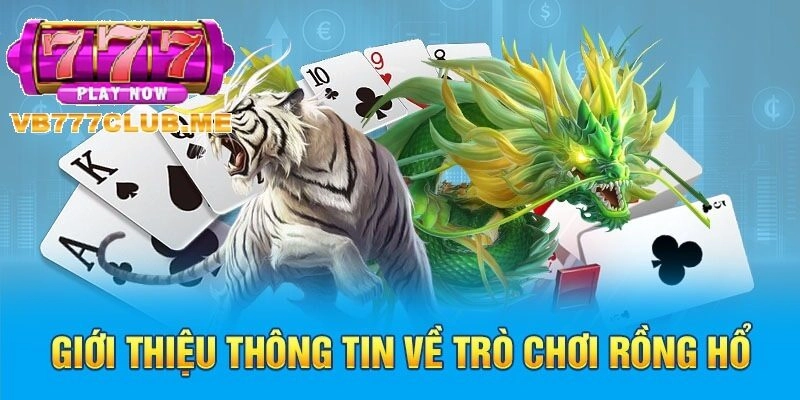 Giới thiệu về Rồng Hổ Online tại VB777